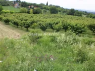 Sale, land lot, 114m², Krčedin, Inđija - image 9