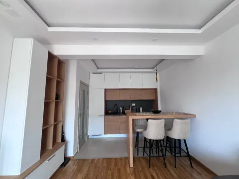 Izdavanje, jednosoban stan, 46m², Šušanj, Bar - image 8