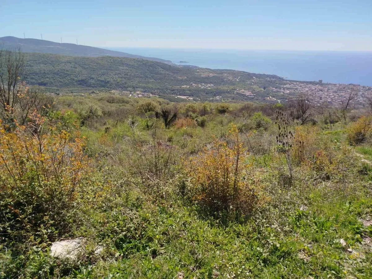 Pogled na prirodu i more sa parcele.