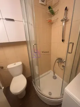 Manje kupatilo sa tuš kabinom i toaletom. - image 8