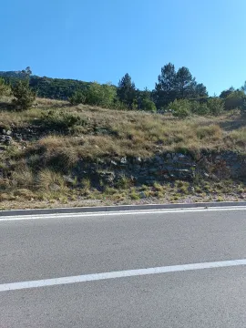 Prodaja, plac, 2000m², Njeguši, Cetinje - image 4