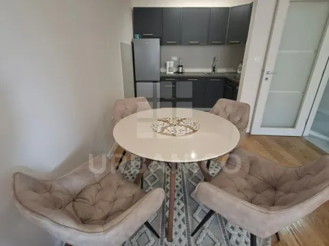 Izdavanje, jednosoban stan, 49m², Central Point, Podgorica - image 4