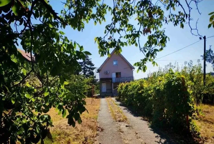 Pogled na porodičnu kuću sa uređenim dvorištem i stazom.