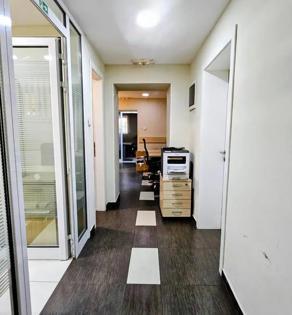 Rent, office space, 318m², Profesorska Kolonija, Palilula Sve Podlokacije