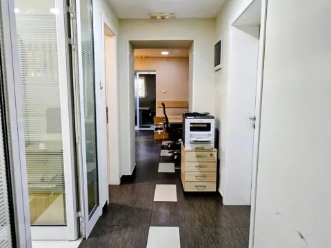 Rent, office space, 318m², Profesorska Kolonija, Palilula Sve Podlokacije - image 8