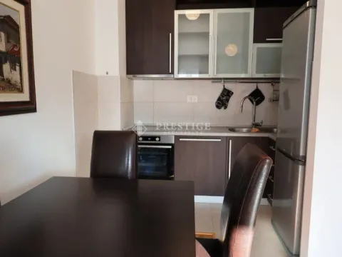 Izdavanje, jednosoban stan, 45m², Zagorič, Podgorica - image 5