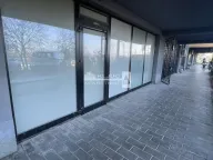 Izdavanje, poslovni prostor, 50m², Bogoslovija, Palilula Sve Podlokacije - image 4