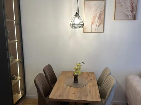 Rent, one bedroom apartment, 42m², Stari Aerodrom, Podgorica - image 4
