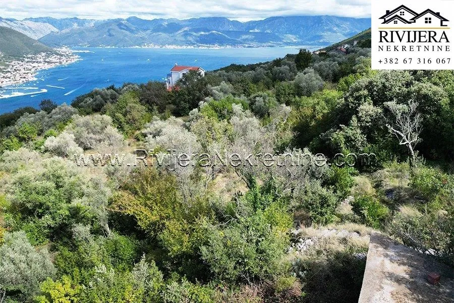 Prodaja, plac, 2985m², Zabrđe, Herceg Novi
