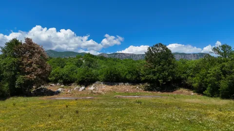 Prodaja, plac, 1591m², Martinići, Danilovgrad - image 3