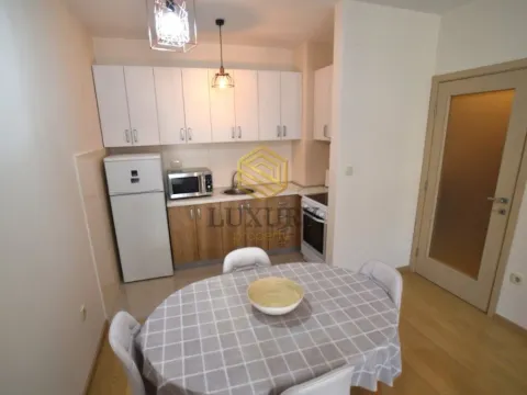 Izdavanje, jednosoban stan, 46m², City Kvart, Podgorica - image 6