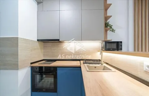 Izdavanje, dvosoban stan, 48m², Novi Beograd Blok 65, Novi Beograd Sve Podlokacije - image 31