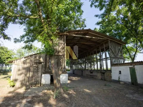 Prodaja, kuća, 275m², Srbobran, Novi Sad - image 12