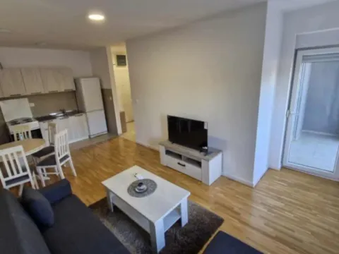 Izdavanje, jednosoban stan, 43m², Zabjelo, Podgorica - image 5