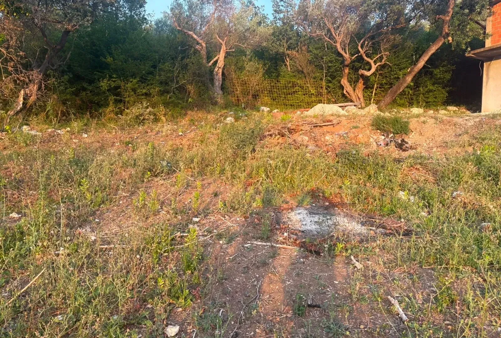 Prodaja, plac, 535m², Bjeliši, Bar