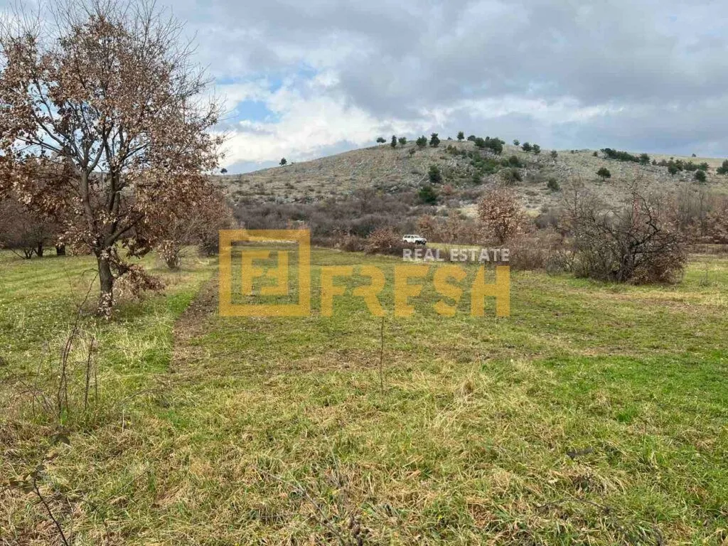 Prodaja, plac, 1000m², Ostalo, Podgorica