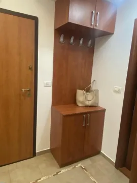 Izdavanje, jednosoban stan, 48m², Preko Morače, Podgorica - image 8