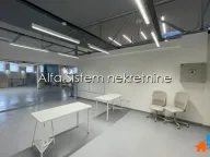 Izdavanje, poslovni prostor, 2000m², Voždovac Sve Podlokacije, Beograd - image 8