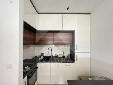 Izdavanje, jednosoban stan, 47m², New City, Podgorica - image 3