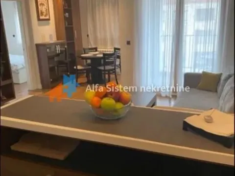 Izdavanje, stan, 56m², Južni Bulevar, Vračar Sve Podlokacije - image 6