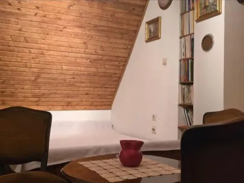 Prodaja, kuća, 63m², Rakovac, Novi Sad Sve Podlokacije - image 11