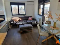 Izdavanje, četvorosoban stan, 89m², Južni Bulevar, Vračar Sve Podlokacije - image 1