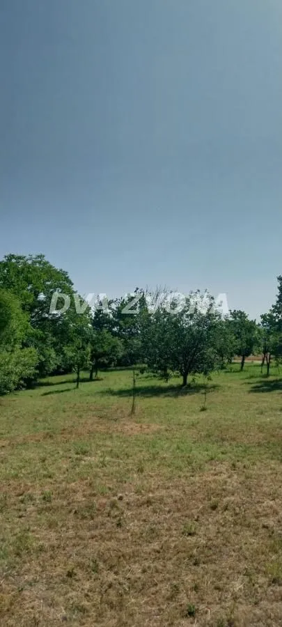 Prodaja, kuća, 38m², Čortanovci, Inđija