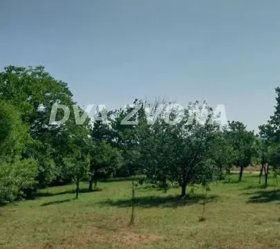 Sale, house, 38m², Čortanovci, Inđija - image 2