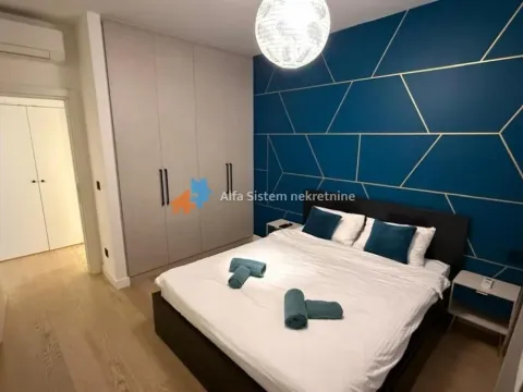 Izdavanje, dvosoban stan, 60m², Savski Venac, Beograd - image 7
