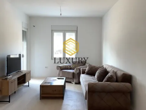 Izdavanje, jednosoban stan, 45m², Zabjelo, Podgorica - image 2