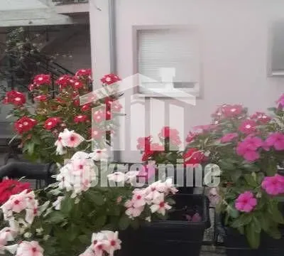 Stan in Zemun Novi Grad