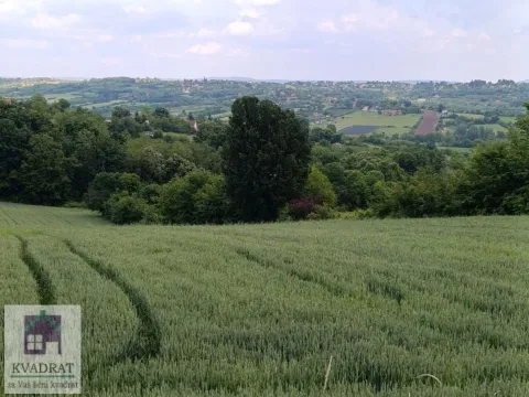 Prodaja, plac, 7200m², Obrenovac, Beograd - image 1