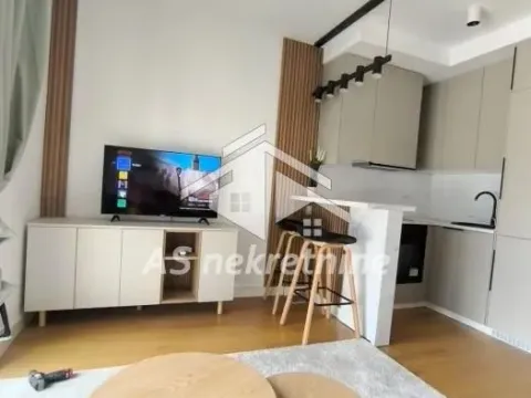 Izdavanje, jednosoban stan, 27m², Lion, Zvezdara Sve Podlokacije - image 12