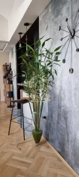 Sale, two bedroom apartment, 70m², Centar, Novi Sad - image 18