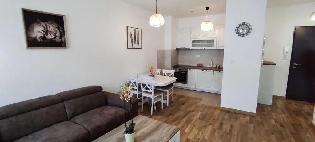 Rent, one bedroom apartment, 46m², City Kej, Podgorica