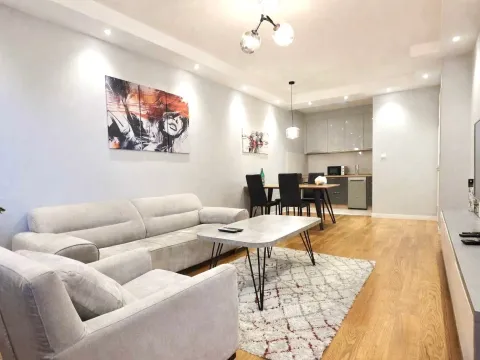 Izdavanje, jednosoban stan, 50m², Central Point, Podgorica - image 1