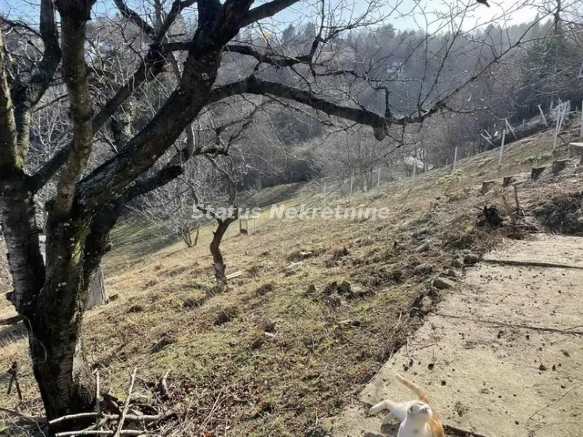 Prodaja, plac, 826m², Sremska Kamenica, Petrovaradin