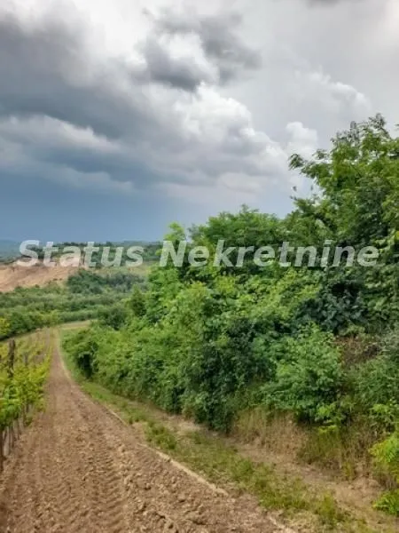 Prodaja, plac, 4100m², Sremski Karlovci, Novi Sad
