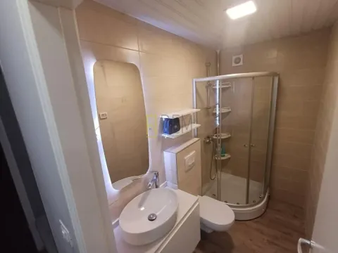 Manje kupatilo sa tuš kabinom, umivaonikom i WC šoljom. - image 18