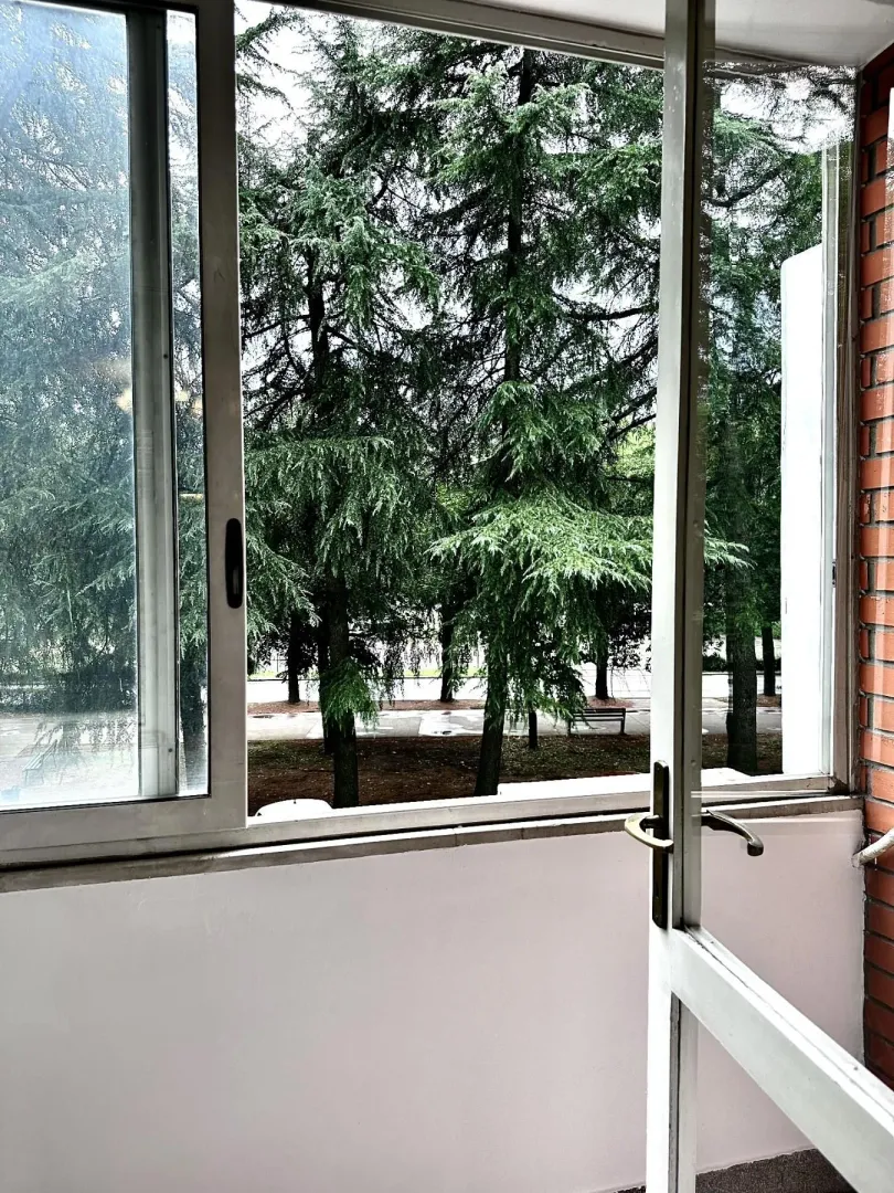 Pogled kroz otvoren prozor na zeleni park sa drvećem.