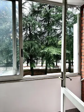 Pogled kroz otvoren prozor na zeleni park sa drvećem. - image 21