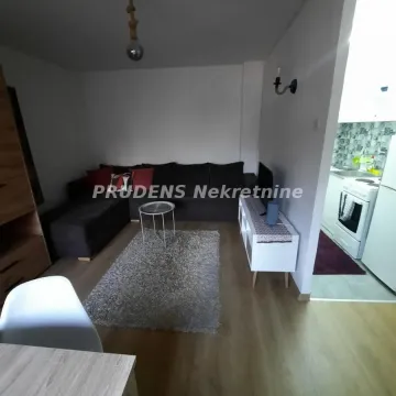 Izdavanje, jednosoban stan, 28m², Rakovica, Beograd - image 13