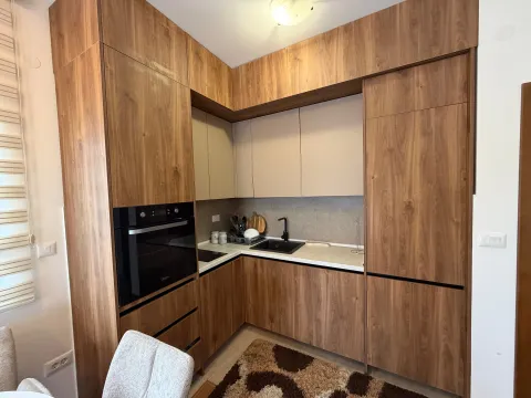 Izdavanje, jednosoban stan, 43m², Vezirov Most, Podgorica - image 5