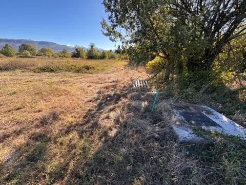 Pogled na prostrano zemljište sa zelenilom i drvećem. - image 2