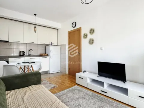 Rent, one bedroom apartment, 37m², Zabjelo, Podgorica - image 3