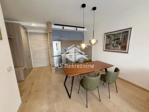 Izdavanje, dvosoban stan, 60m², Novi Beograd Sve Podlokacije, Beograd - image 3