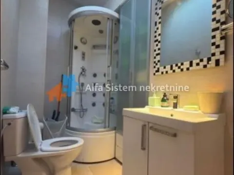 Izdavanje, dvosoban stan, 65m², Južni Bulevar, Vračar Sve Podlokacije - image 9