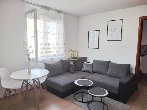 Izdavanje, jednosoban stan, 45m², Centar, Podgorica - image 1