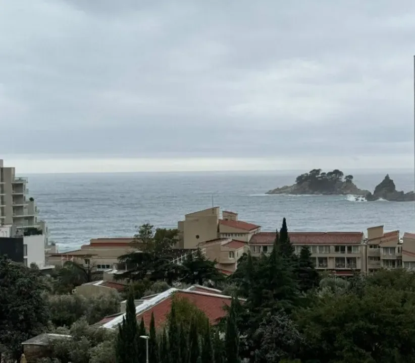 Prodaja, jednosoban stan, 38m², Petrovac, Budva