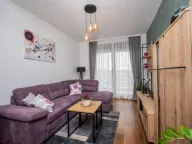 Izdavanje, stan, 50m², Tološka šuma, Podgorica - image 12